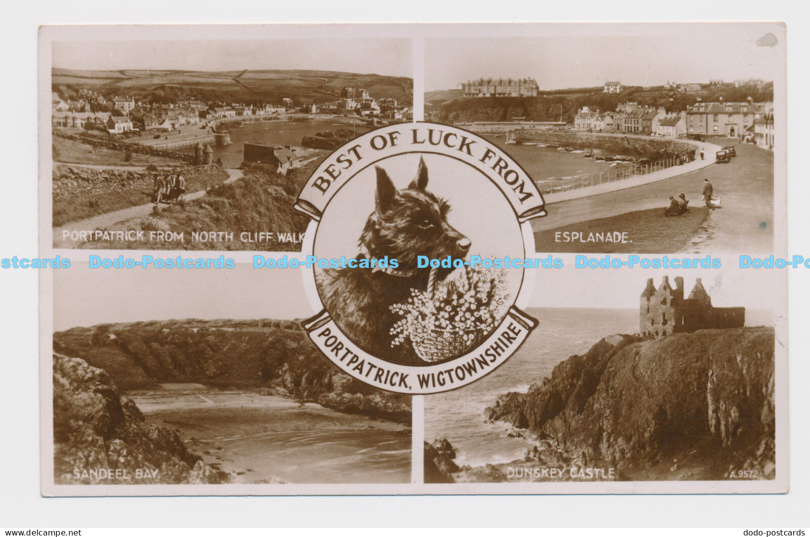 C008785 Best of Luck from Portpatrick. Wigtownshire. A. 9572. Valentines. RP. 19