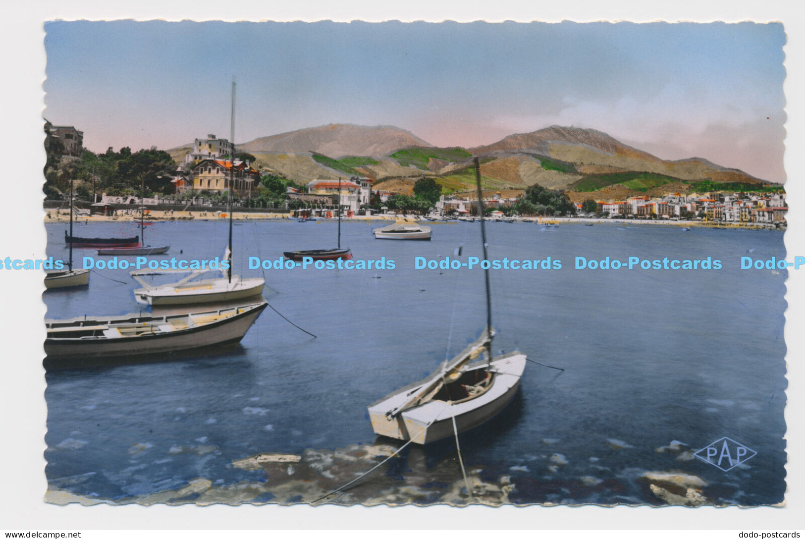 C016997 Banyuls Sur Mer. La Rade. Pages. RP