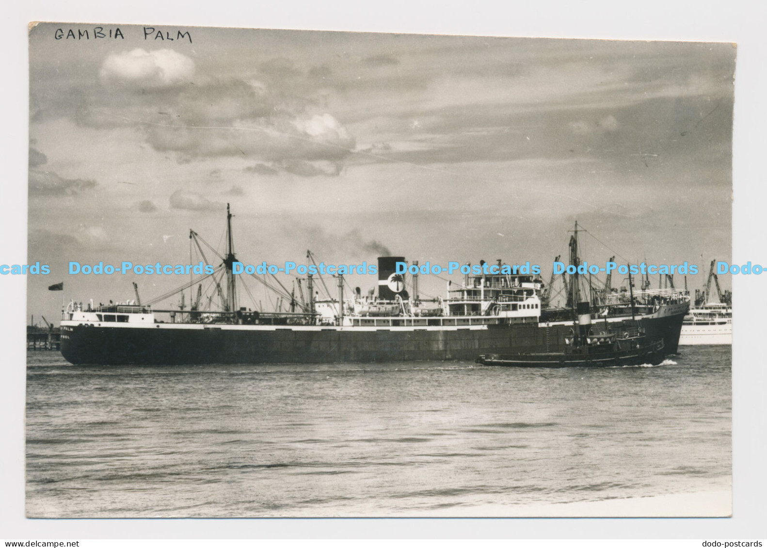 C021784 Gambia Palm. N Fleet. 1953. Ship. Photo