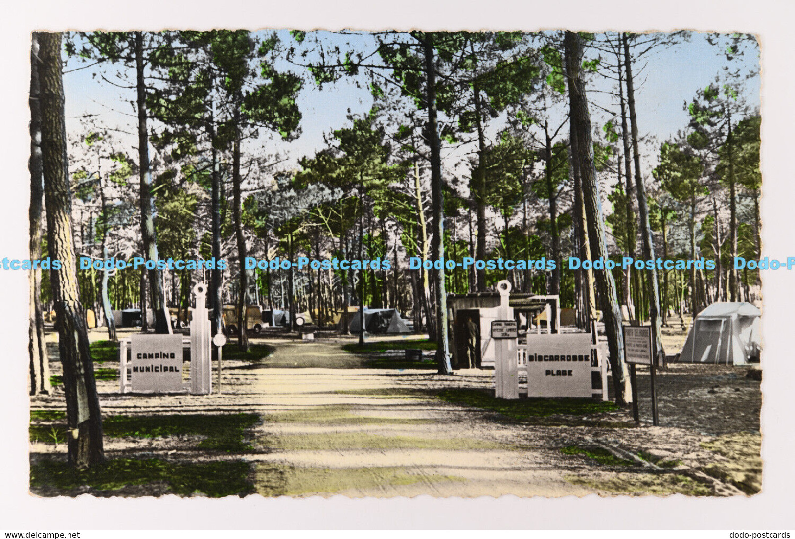 C023378 Biscarrosse Plage. Landes. L Entree du Camping Municipal. Moulin