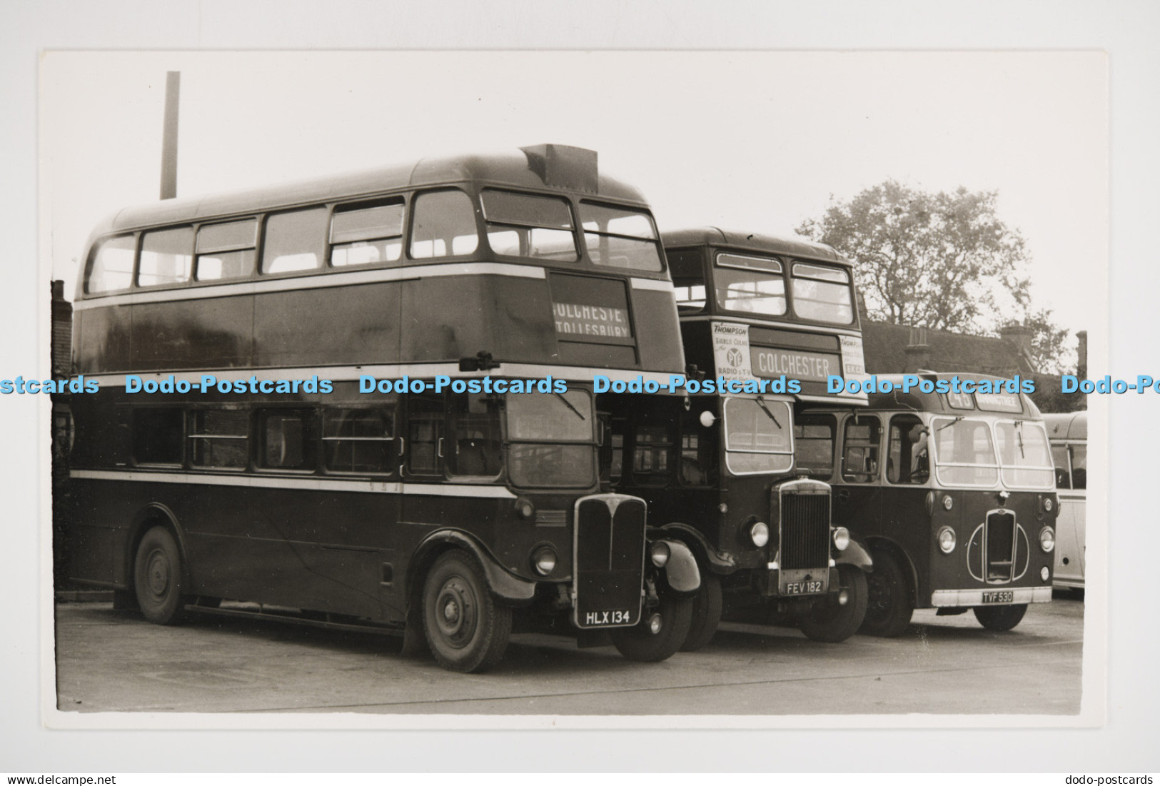 C027585 Bus. Colchester Tollesbury. HLX134. Bus. Colchester. FEV182. Old Photo