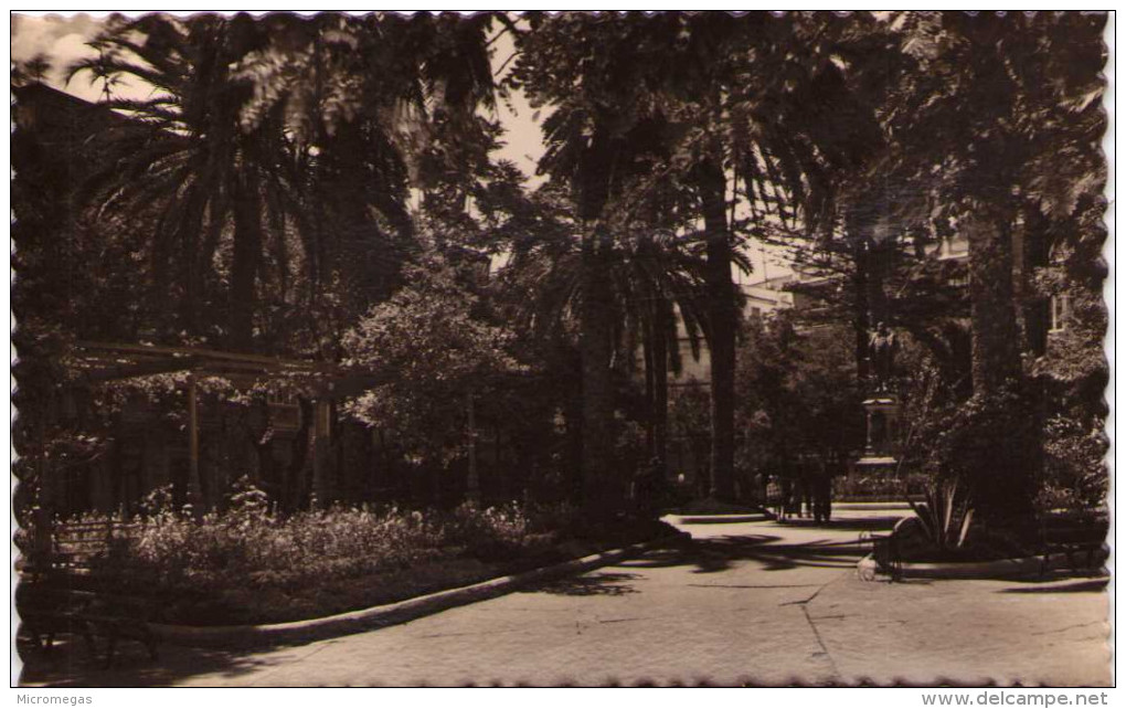 CADIZ - Plaza de Castelar