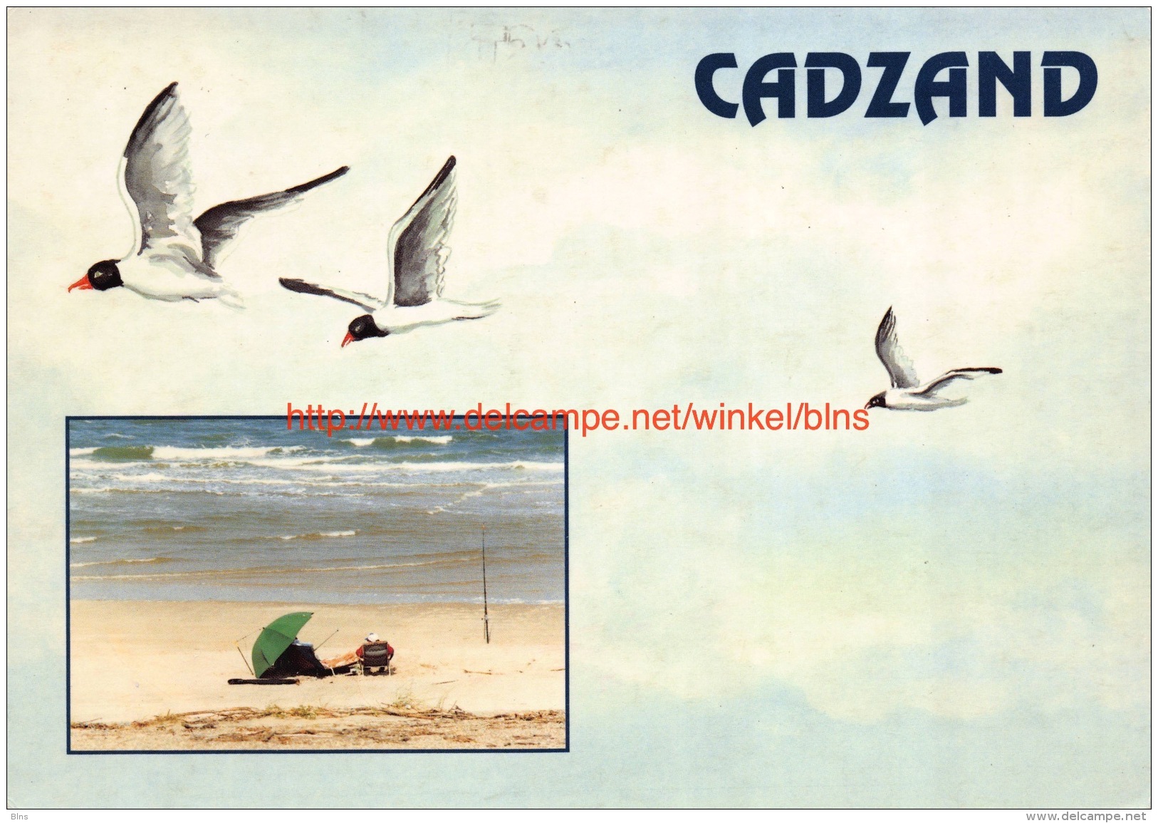 Cadzand