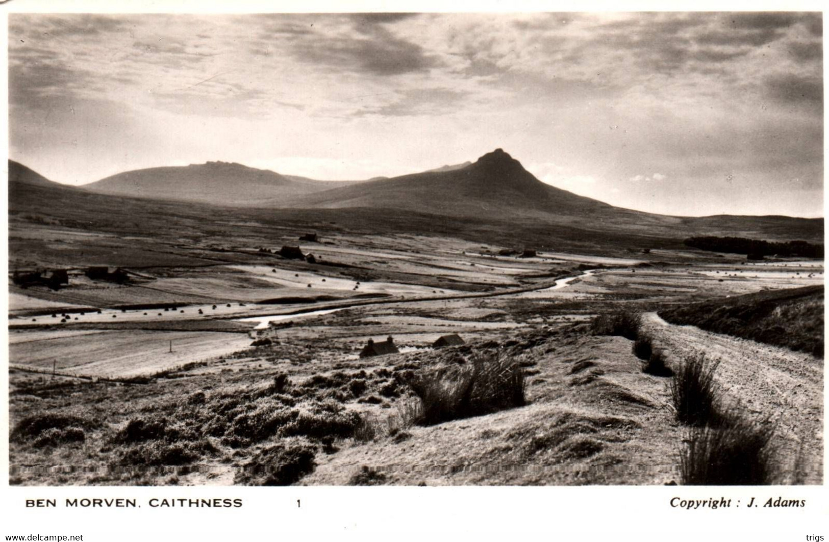 Caithness - Ben Morven