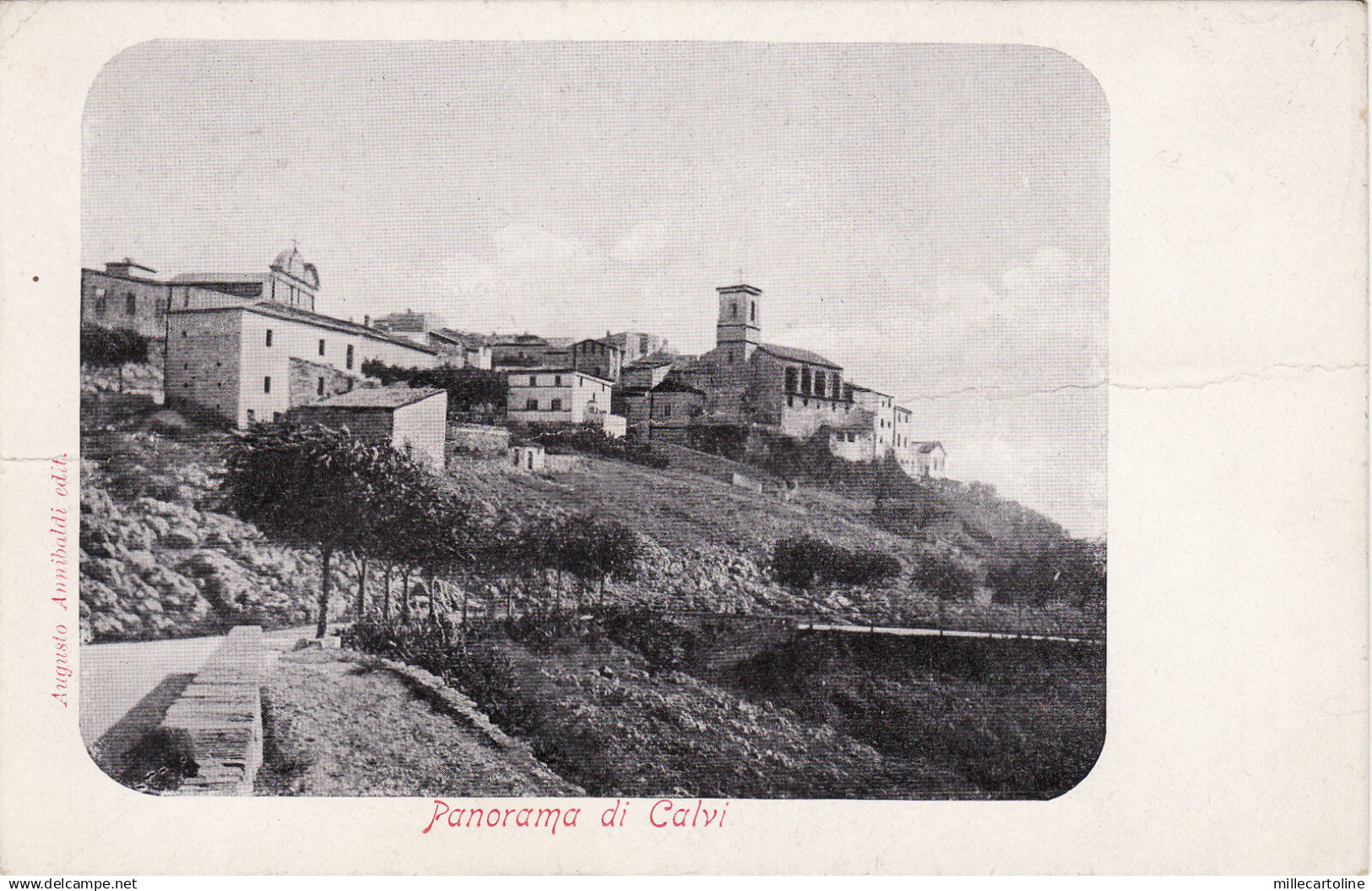 #CALVI DELL'UMBRIA: PANORAMA (2)