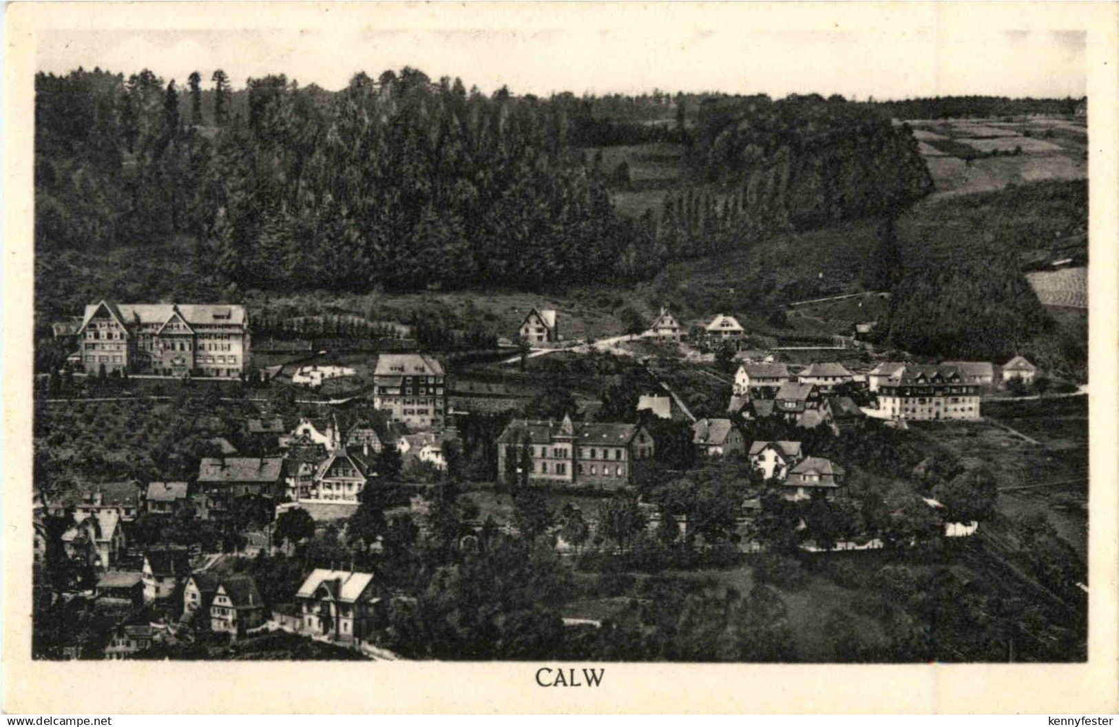 Calw