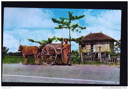 CAMBODGE