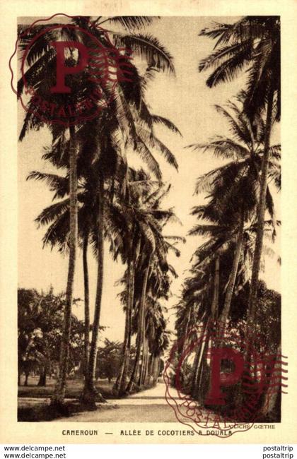 AFRICA. CAMERUN. CAMEROUN. ALLEE DE COCOTIERS A Douala