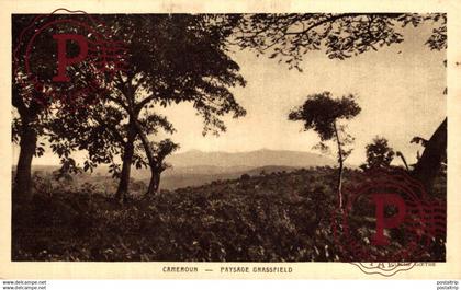 AFRICA. CAMERUN. CAMEROUN PAYSAGE GRASSFIELD