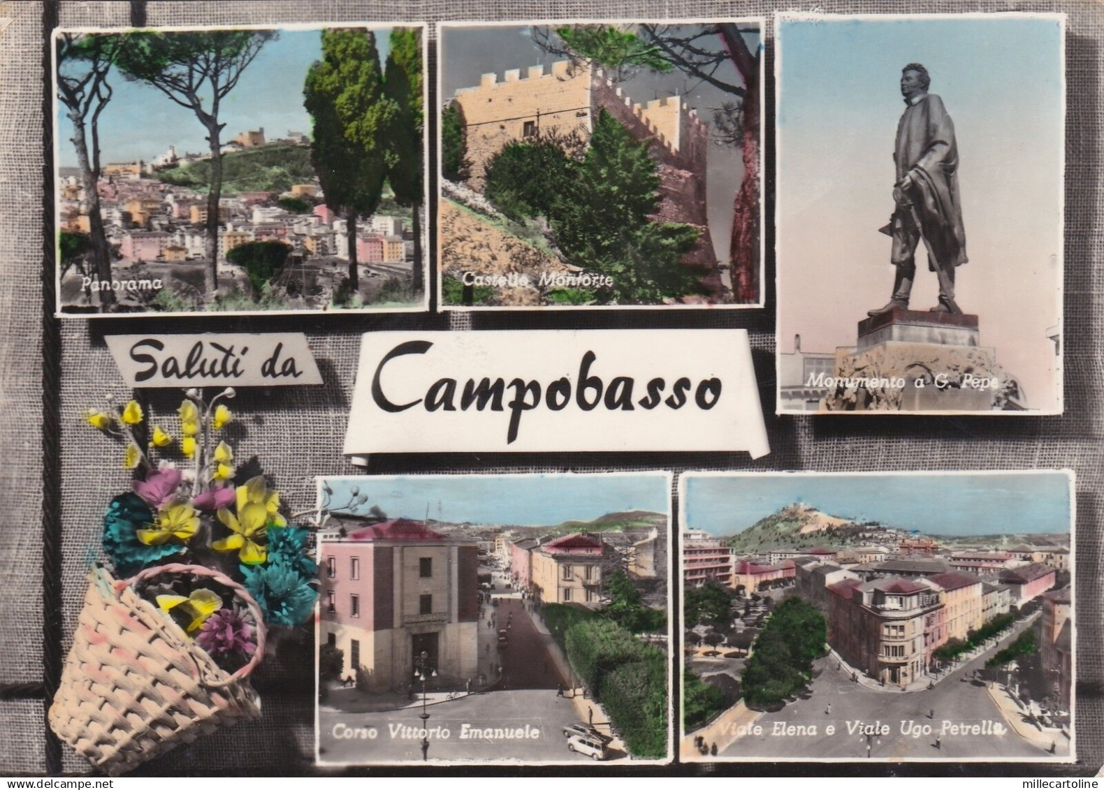 # CAMPOBASSO: SALUTI DA