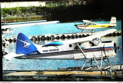 Prince Rupert (1991) - Colombie-Britannique Canada  "Seaplane   De Havilland DHC-2 Beaver"  CPM Hydravion