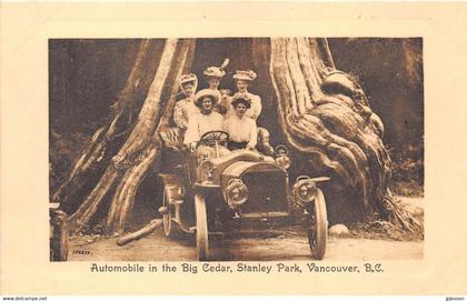 COLOMBIE BRITANNIQUE - AUTOMOBILE IN THE BIG CEDAR, STANLEY PARK, VANCOUVER - ARBRE NOMME