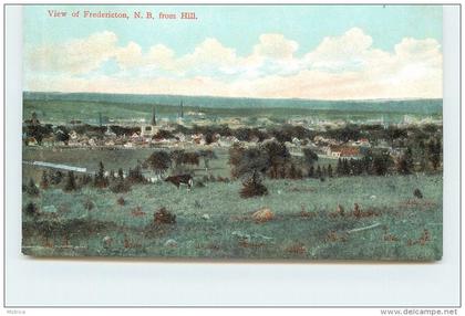 VIEW OF FREDERICTON - from Hill.