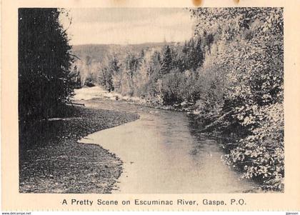 QUEBEC - A PRETTY SCENE ON ESCUMINAC RIVER, GASPE