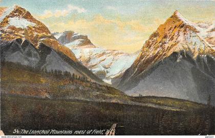 COLOMBIE BRITANNIQUE - THE LEANCHOIL MOUNTAINS ROEST OF FIELD