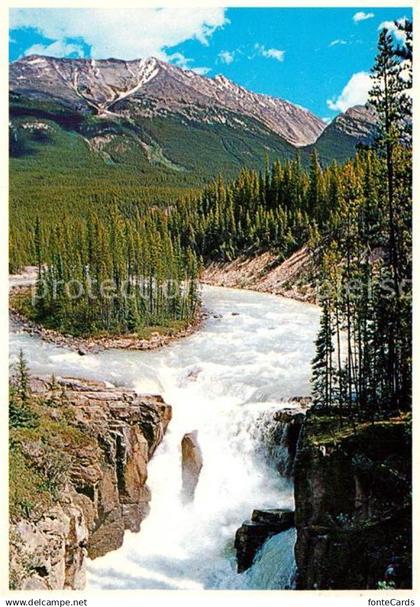 72942795 Jasper Alberta Sunwapta Falls