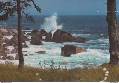 Summerville Coastline NS Canada Canadian Postcard