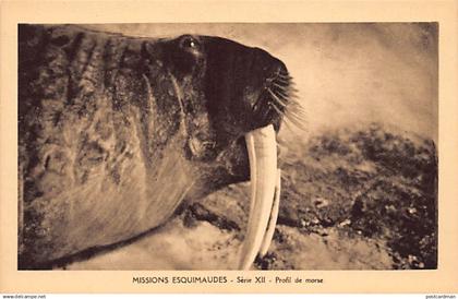 Canada - Eskimo missions, Nunavut - Walrus Profile - Publ. Oblate Missionaries of Mary Immaculate - Serie XII