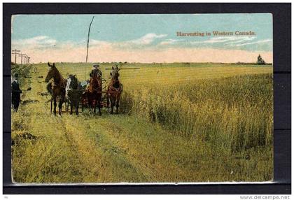 Canada - Harvesting in Western Canada - Colorisée