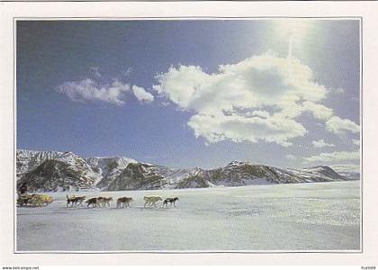 AK148247 CANADA - Labrador - Waldläufer