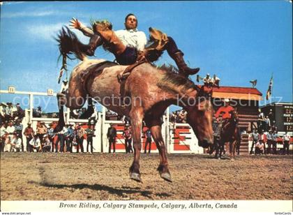 72562667 Calgary Bronc Riding Calgary Stampede