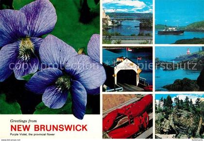 73126556 New Brunswick Nouveau Brunswick ---