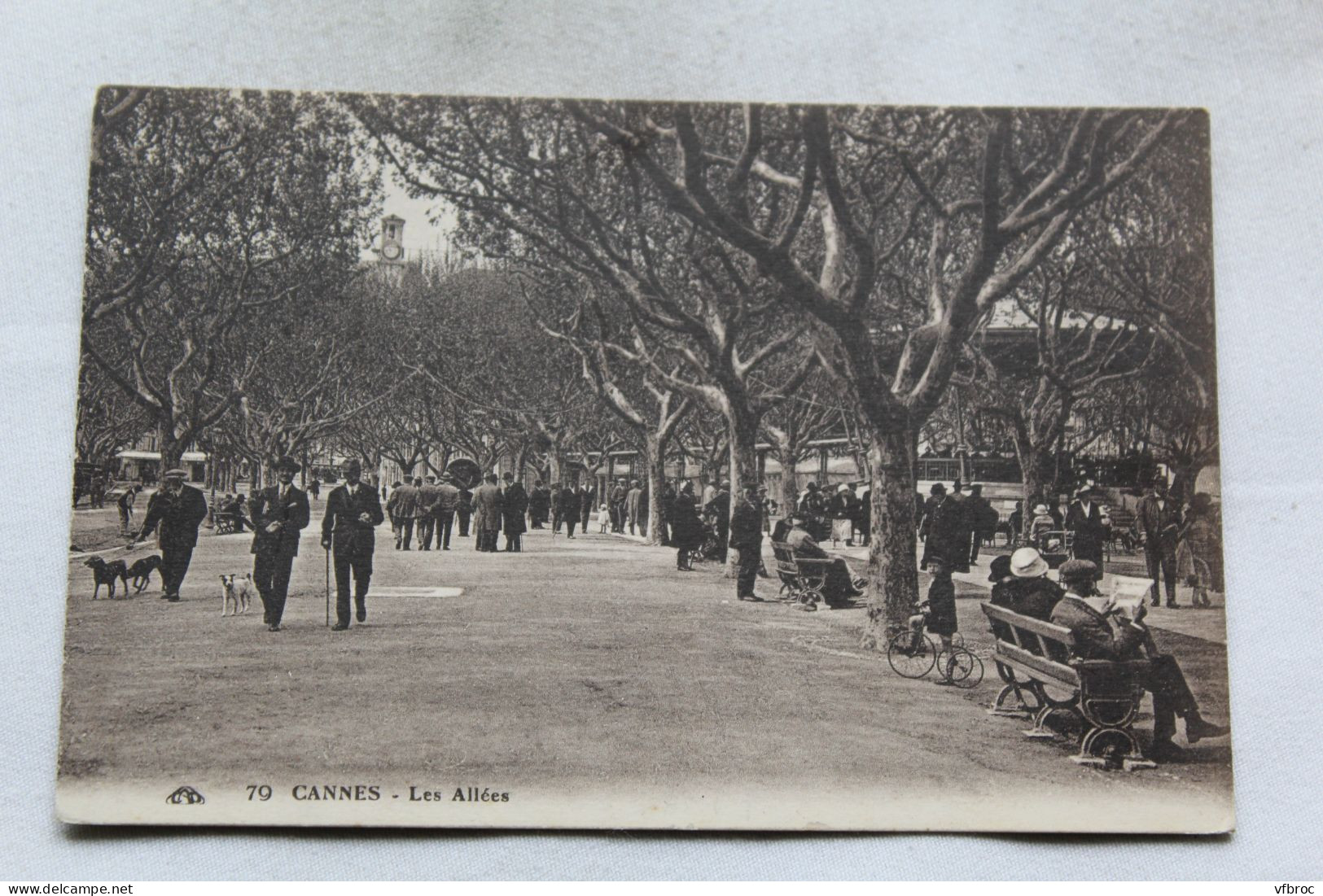 Cannes, les allées, Alpes maritimes 06