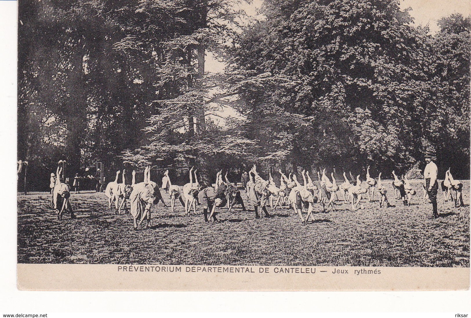 CANTELEU(ARBRE) GYMNASTIQUE