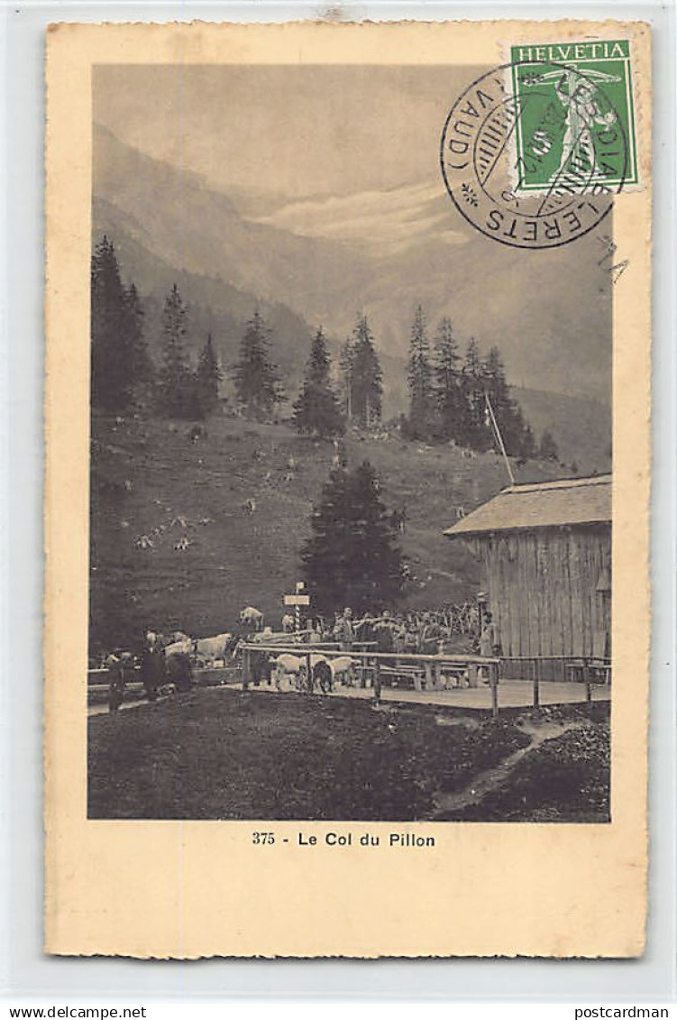 Canton de Vaud - Le Col du Pillon - Ed. G. Decaux 375