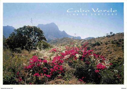 Cap Vert - Cabo Verde - Ilha de Santiago - Fleurs - CPM - Voir Scans Recto-Verso