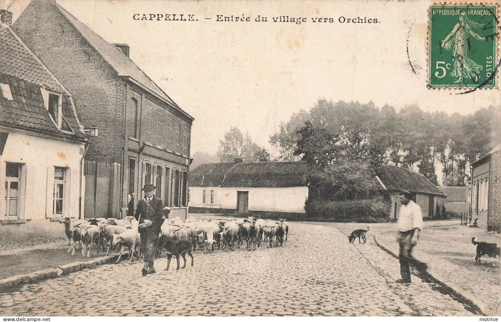 CAPPELLE - entrée du village vers orchies. un berger et ses moutons.