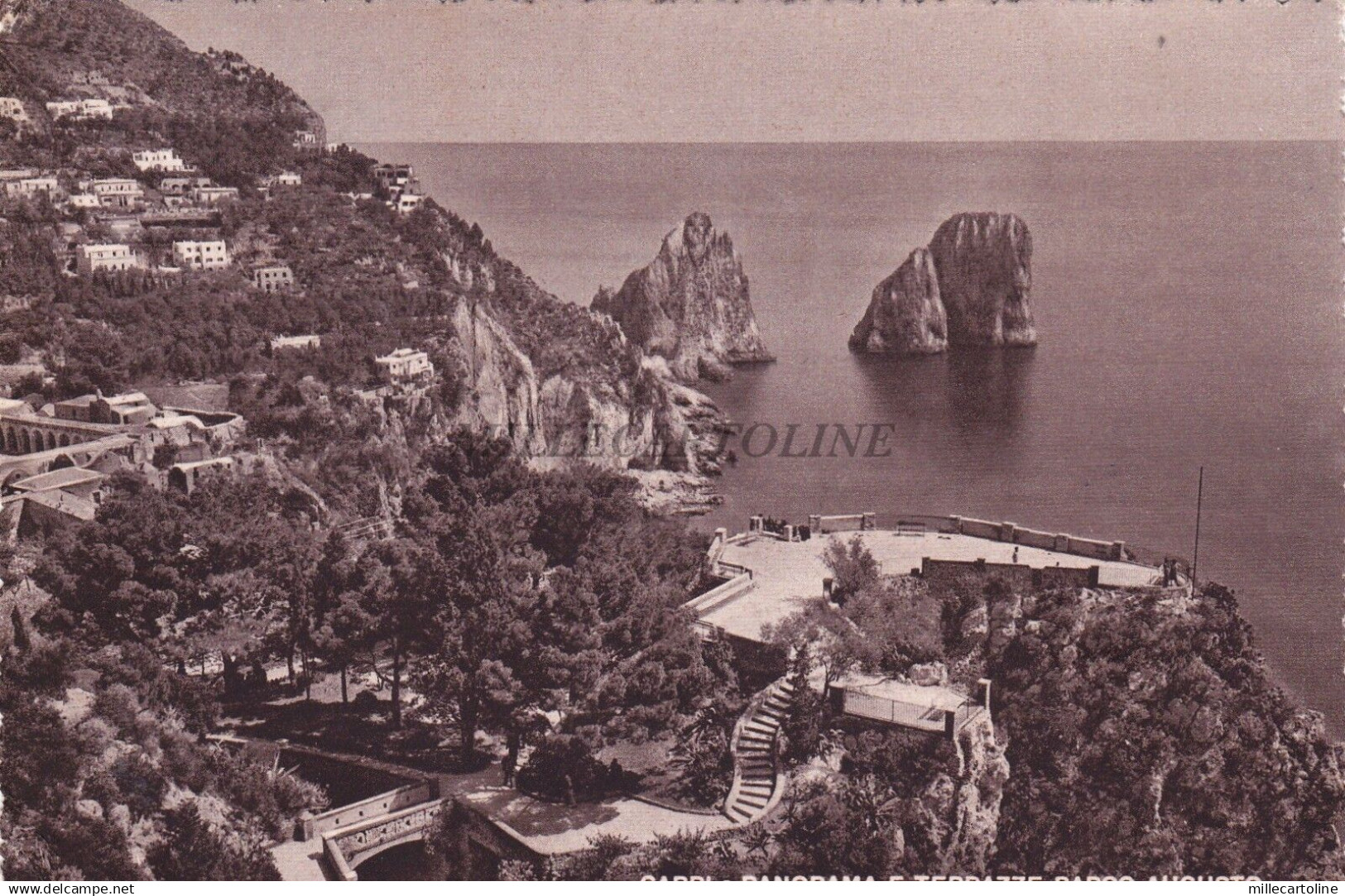 CAPRI - Panorama e Terrazze Parco Augusto 1952