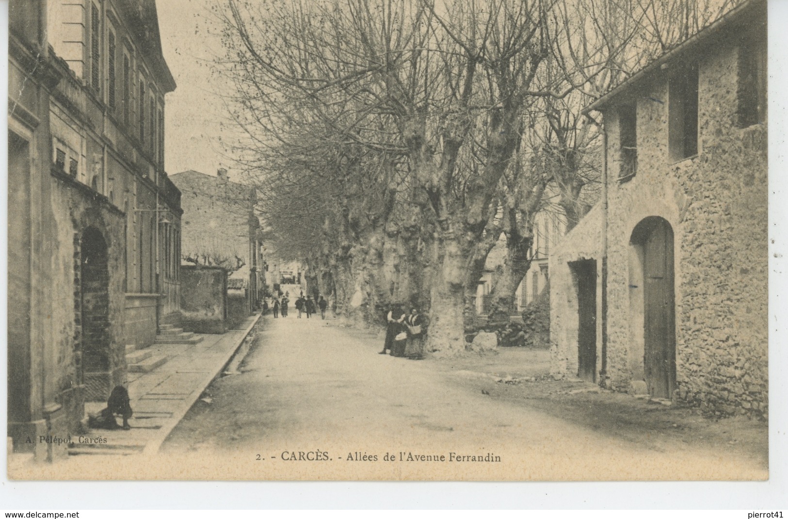 CARCES - Allées de l'Avenue Ferrandin