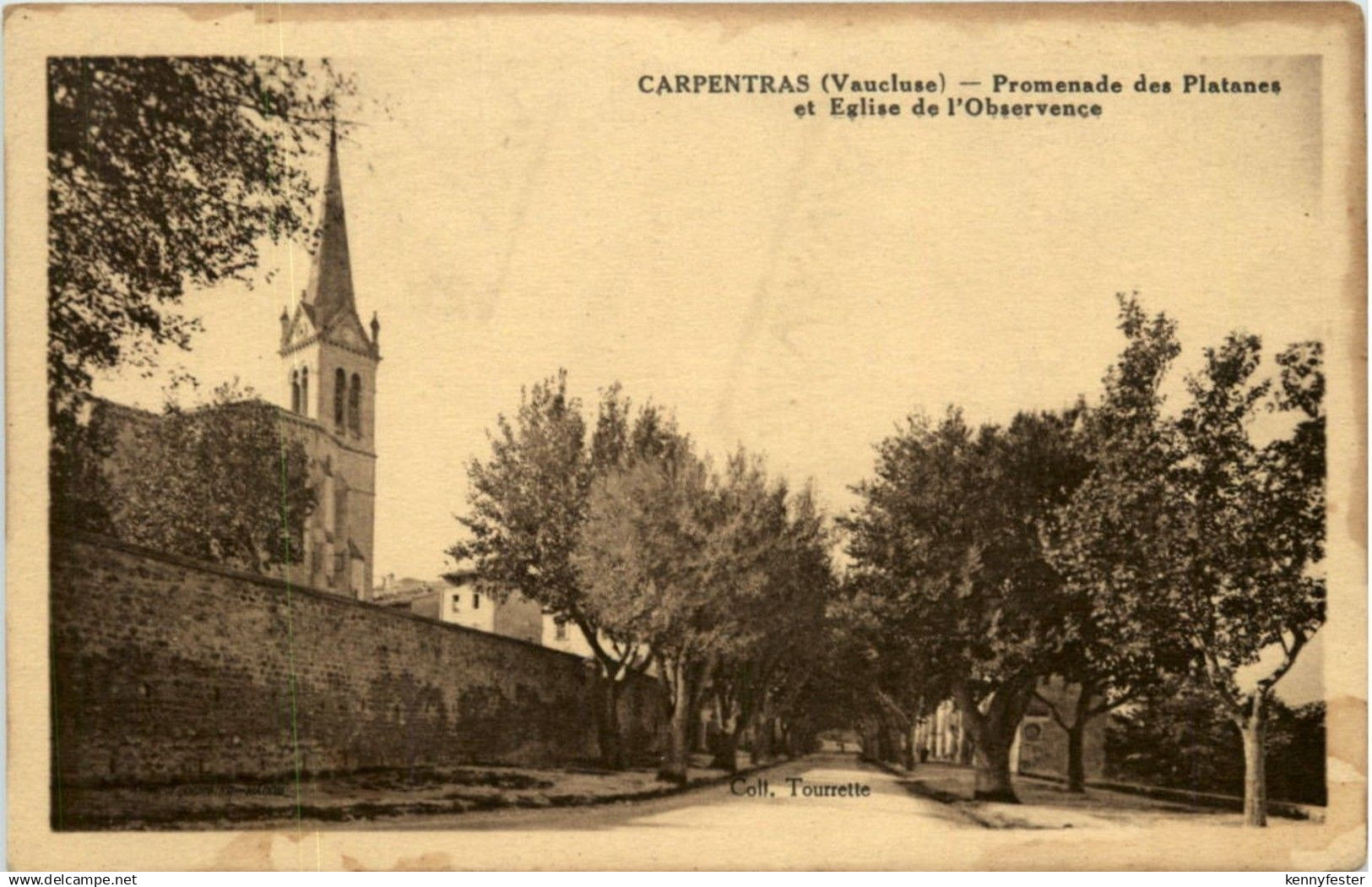 Carpentras - Promenade des Platanes