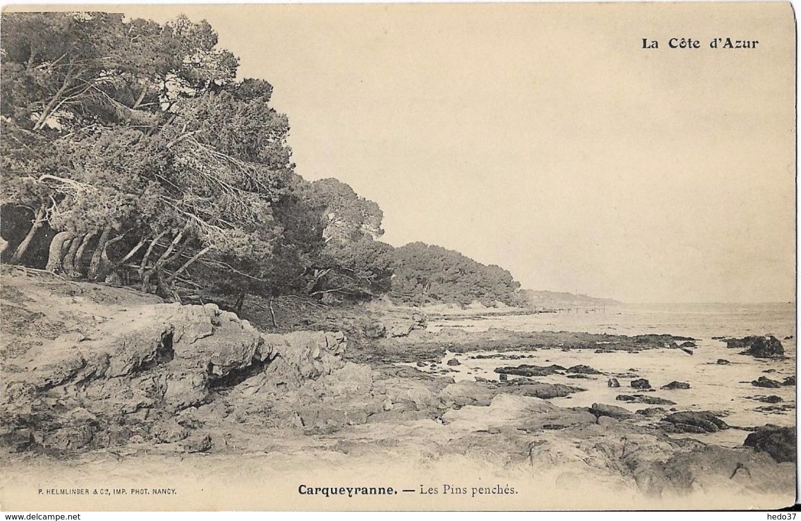 Carqueiranne - Les Pins penchés