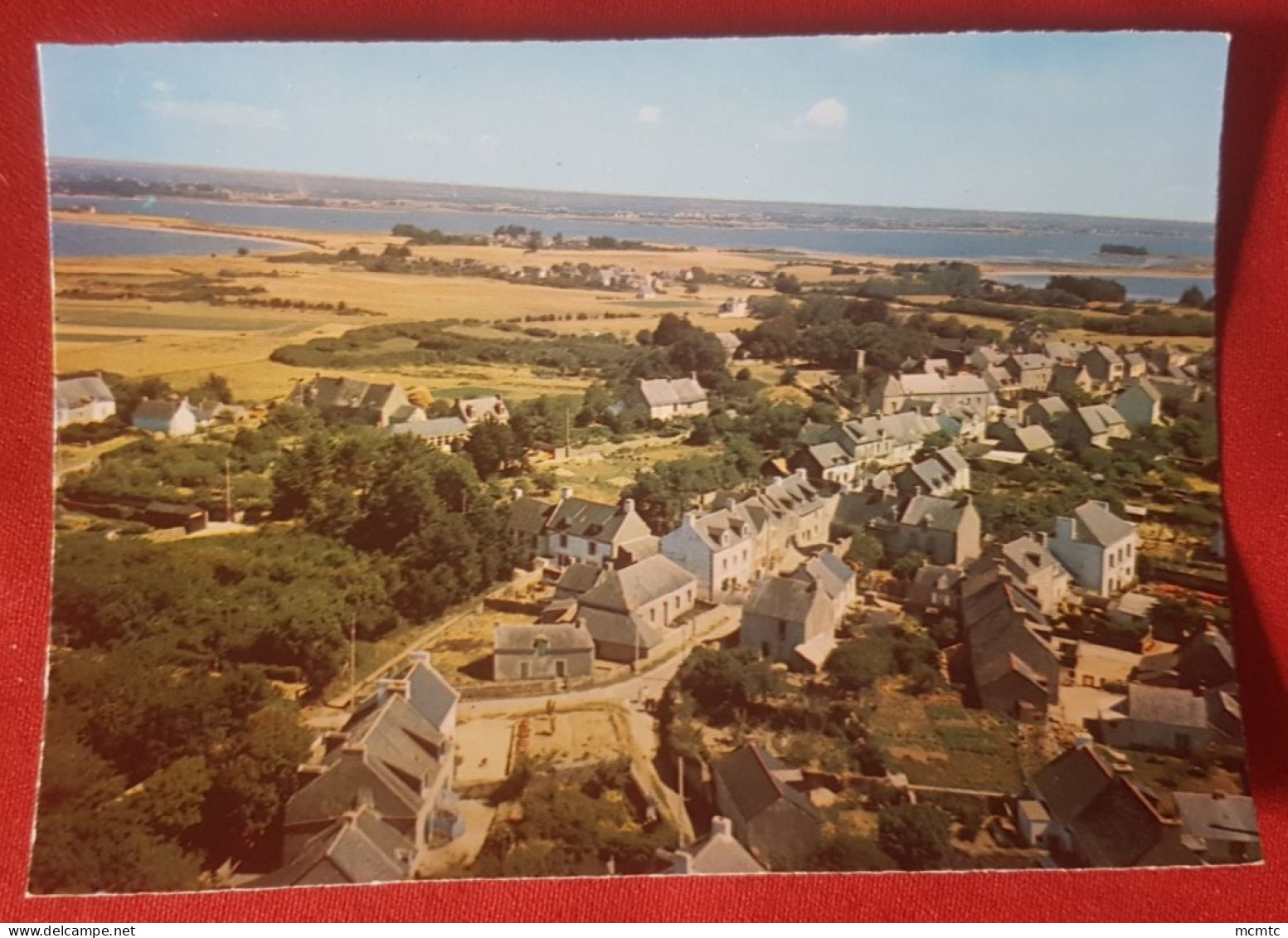 Carte grand format -  Ile d'Arz  - ( Morbihan )