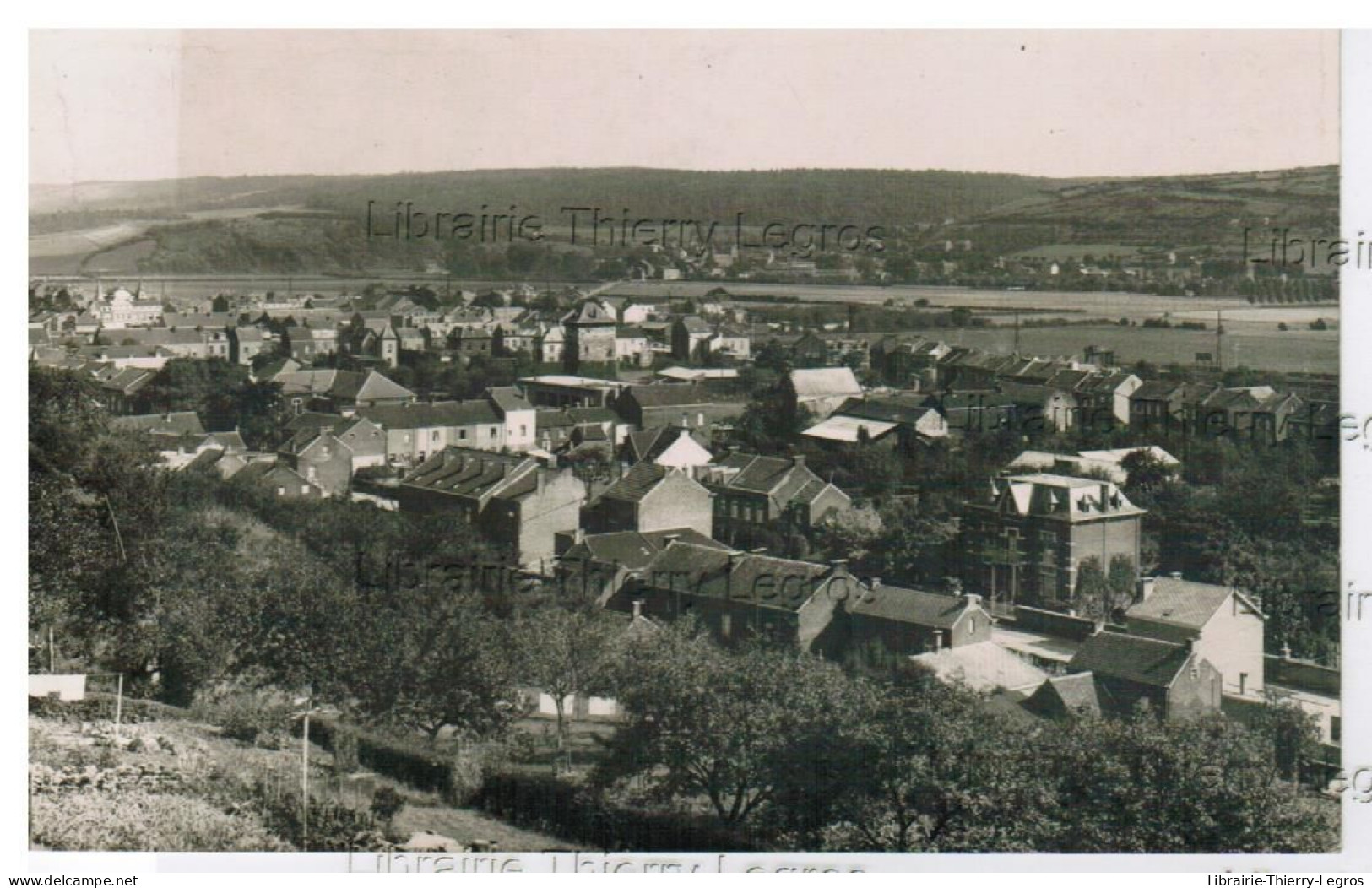 Carte Photo AMAY   Panorama