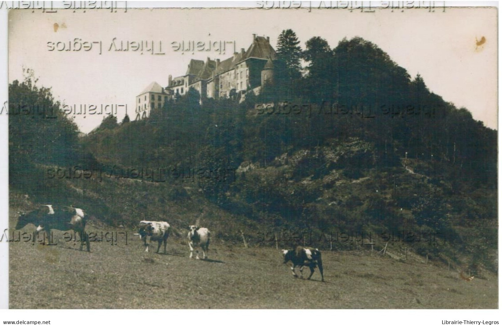 carte photo WILTZ n°2 Le Château