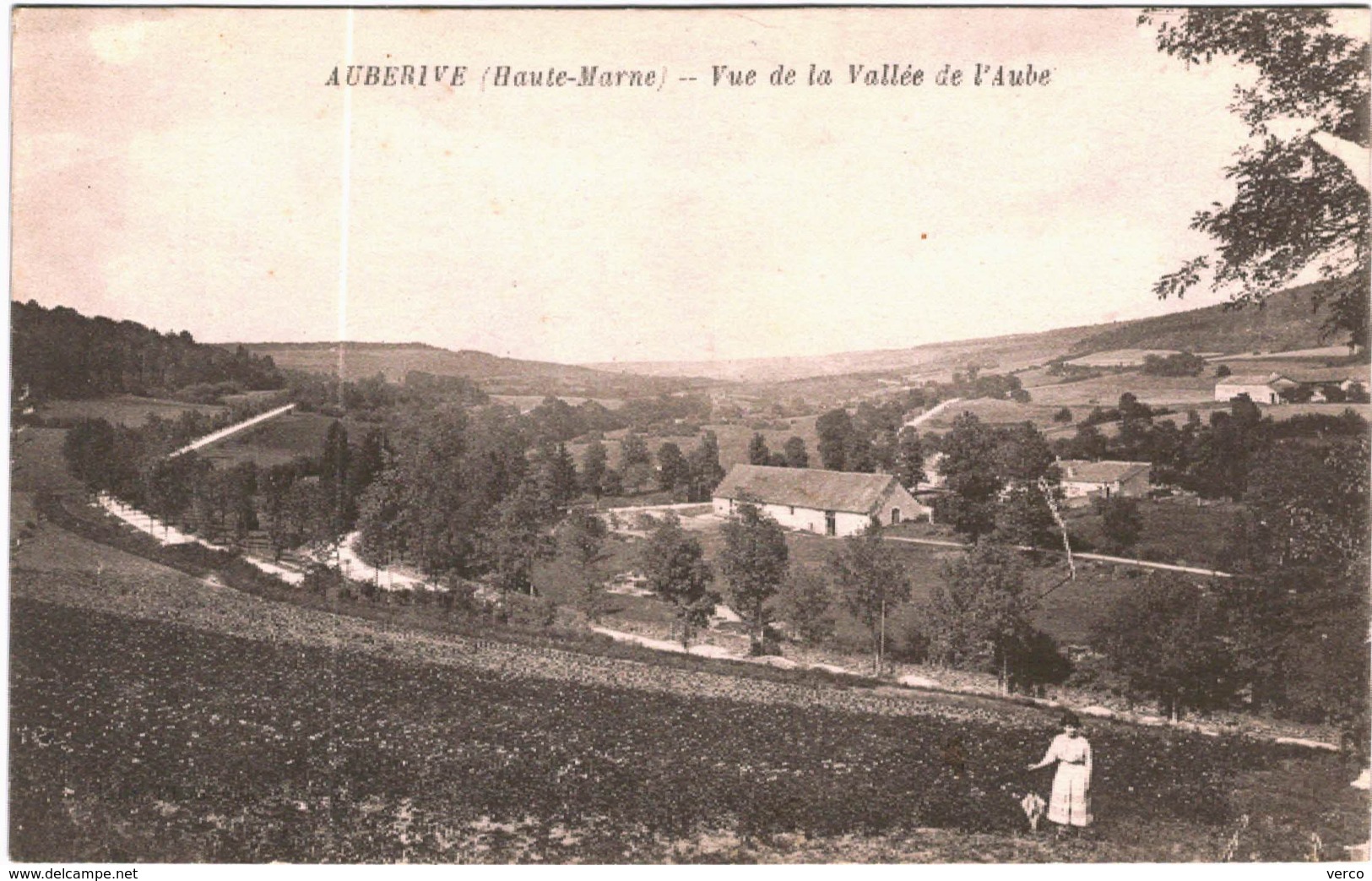 CARTE POSTALE ANCIENNE DE AUBERIVE  -  VUE DE LA  VALLEE DE L'AUBE