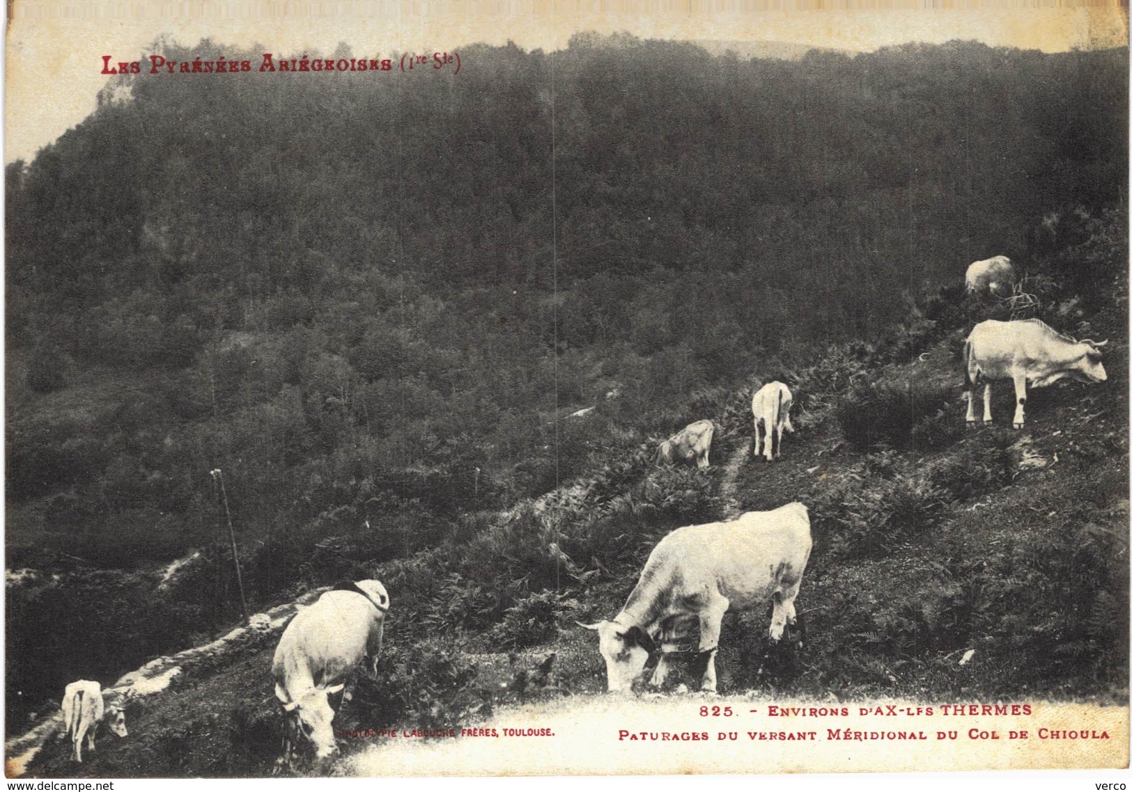 Carte postale ancienne de AX les THERMES