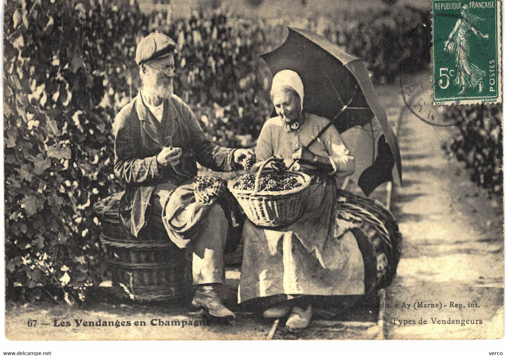 Carte POSTALE  Ancienne  de  AY - Vendanges en Champagne