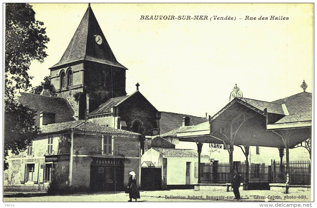 Carte Postale Ancienne de BEAUVOIR sur MER