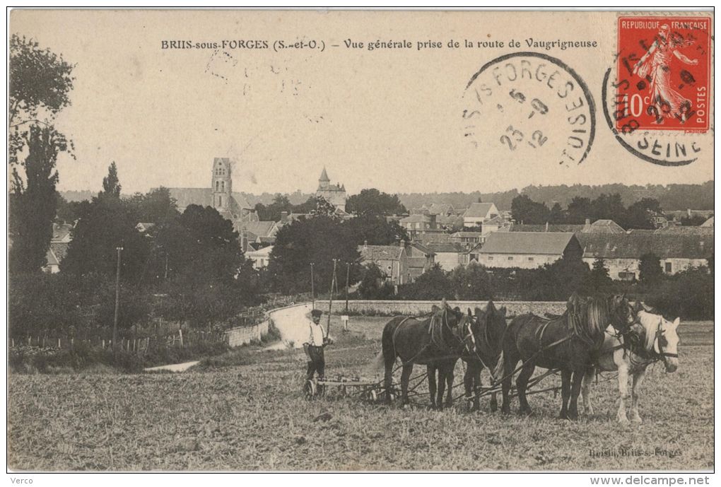 Carte Postale Ancienne de BRIIS SOUS FORGES