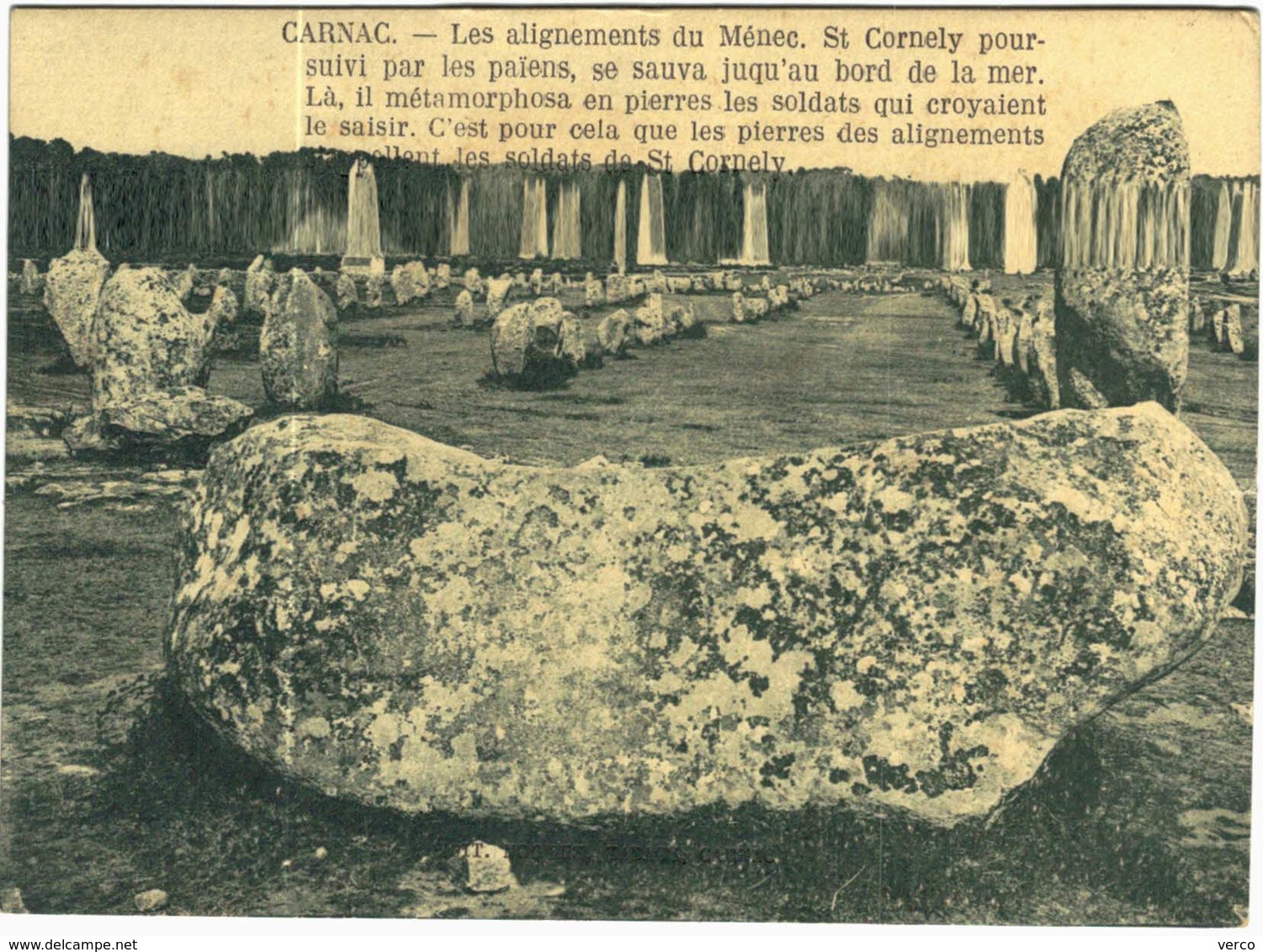 Carte Postale Ancienne de CARNAC-alignements de Ménec