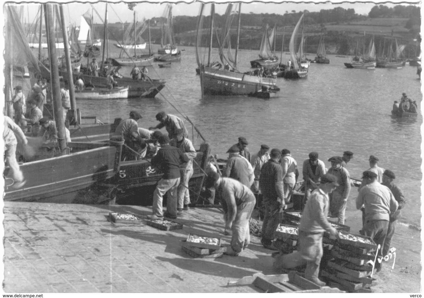 Carte Postale Ancienne de DOUARNENEZ-arrivage de la sardine