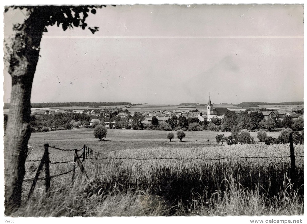 Carte Postale Ancienne de FAULQUEMONT-Vue générale