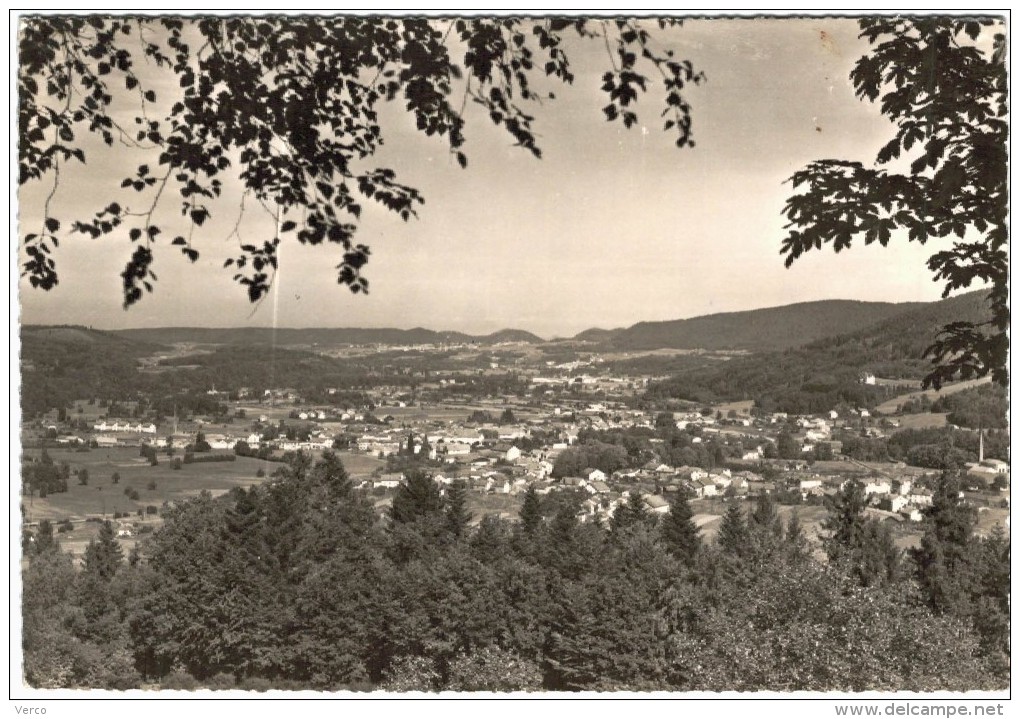 Carte Postale Ancienne de GRANGES SUR VOLOGNE-vue générale