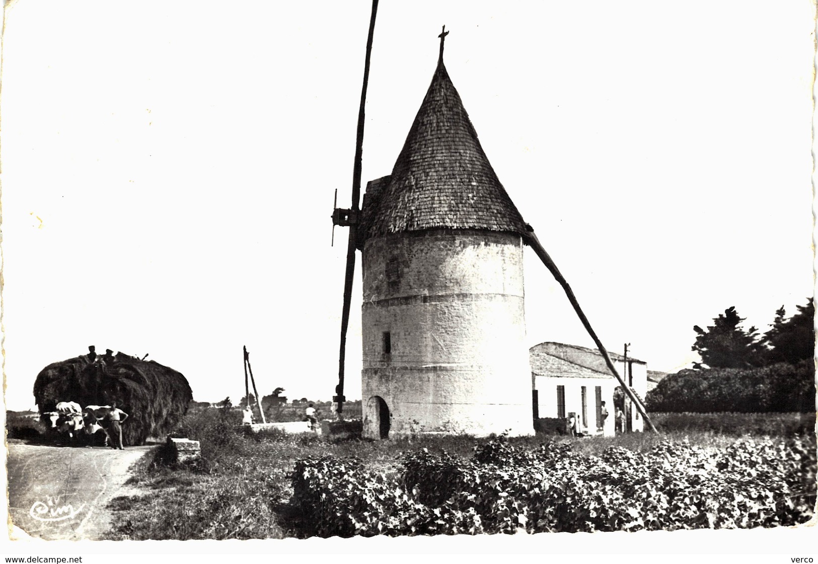 Carte postale ancienne de ILE D'OLERON