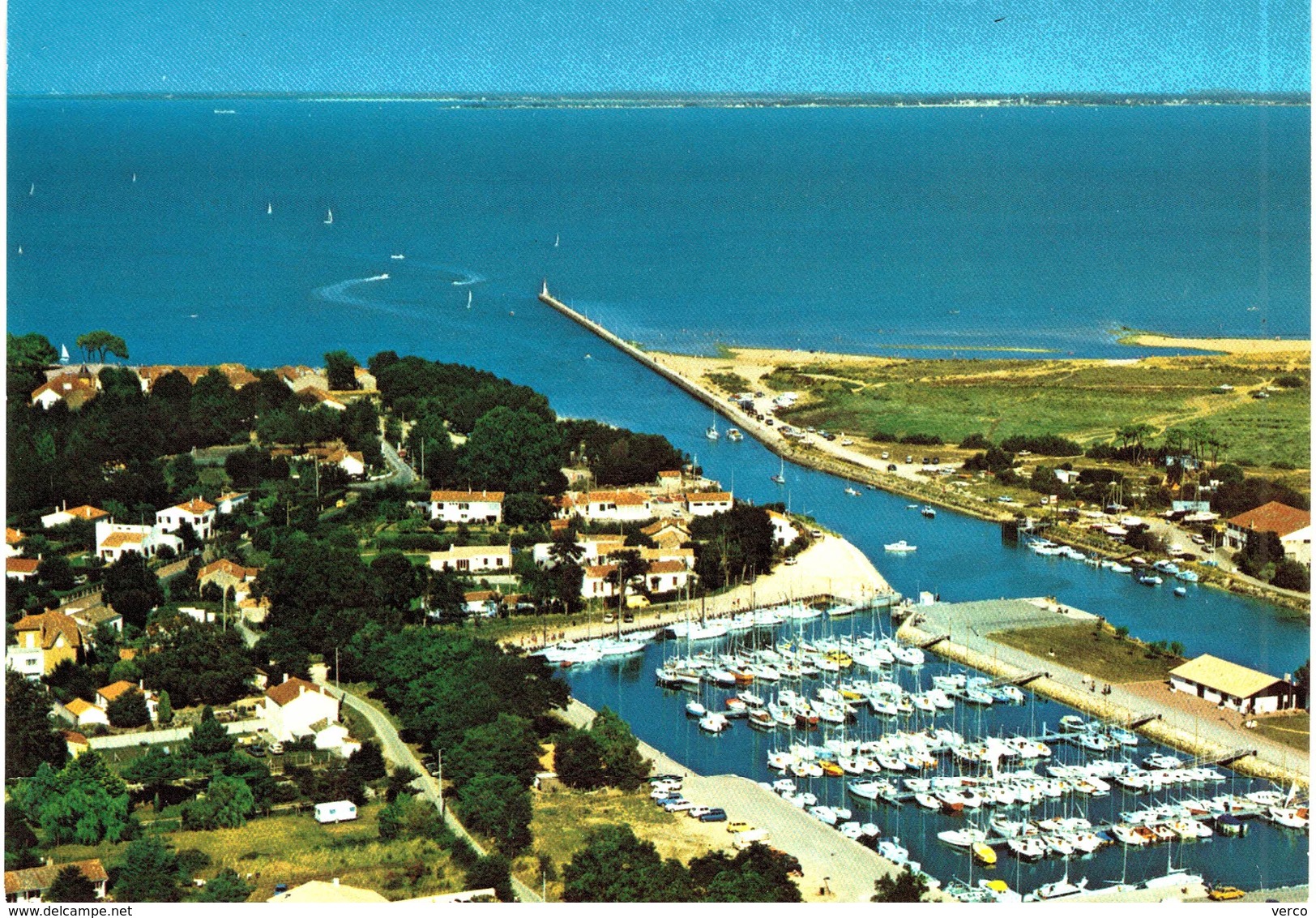 Carte   POSTALE  Ancienne de  ILE d' OLERON