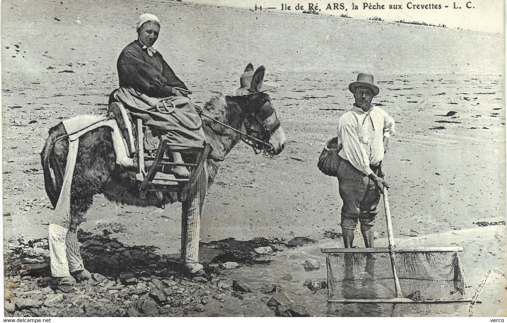 Carte postale ancienne de ILE de RE - Pêche aux crevettes